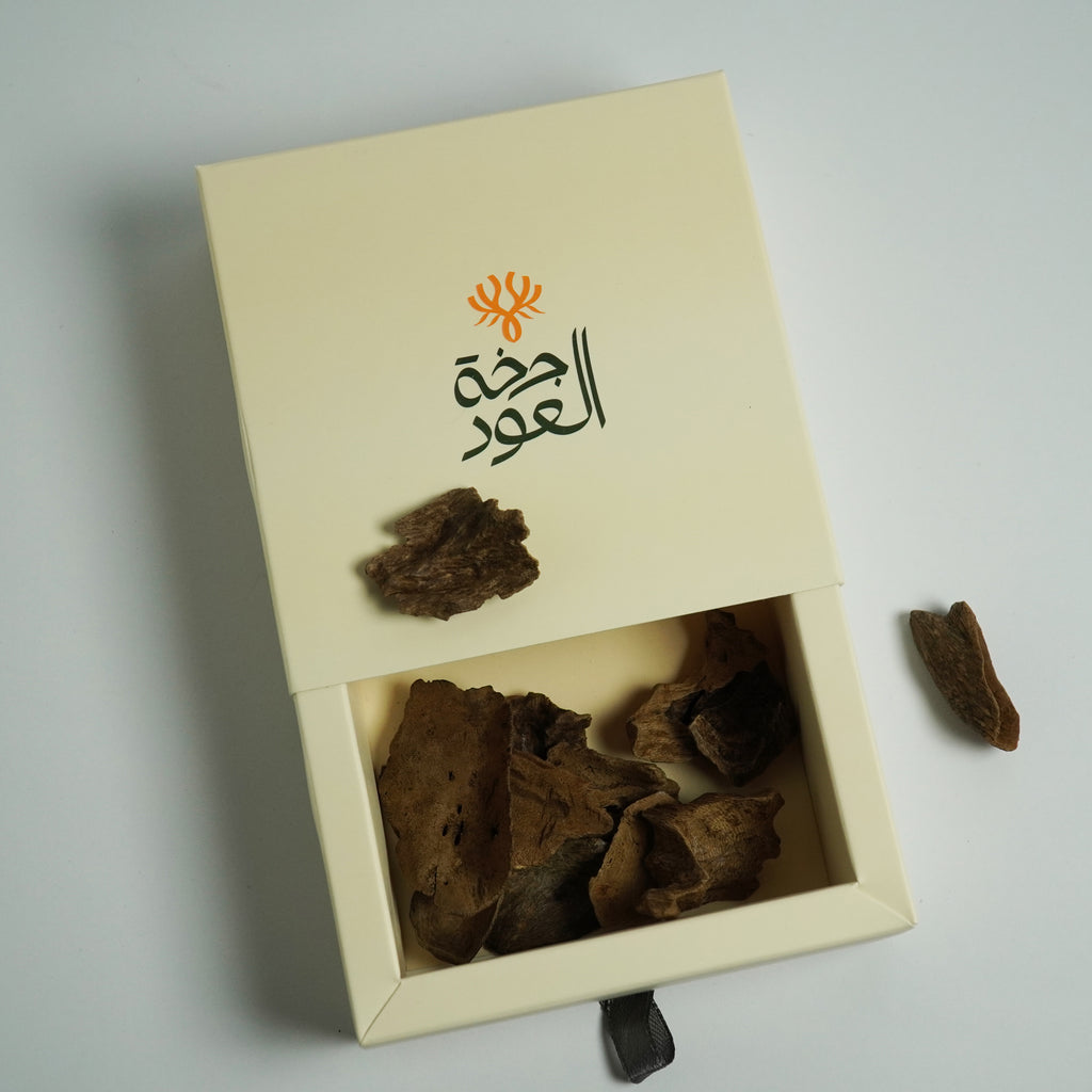 عود اندونيسي جابورا
